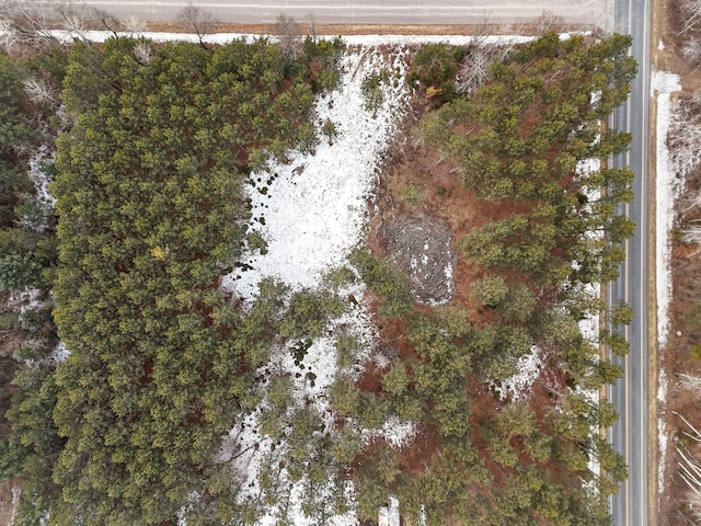 Listing photo 2 for TBD White Birch Ave NE, Bemidji MN 56601