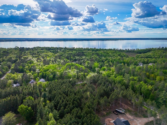 TBD White Birch Ave NE, Bemidji, MN 56601 - photo 3