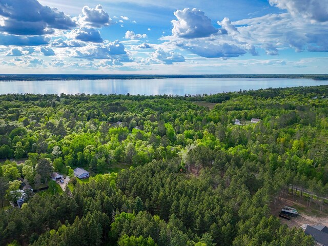 TBD White Birch Ave NE, Bemidji, MN 56601 - photo 4