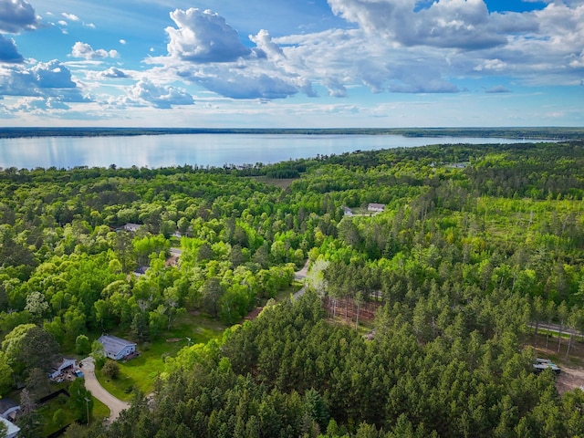 TBD White Birch Ave NE, Bemidji, MN 56601 - photo 5