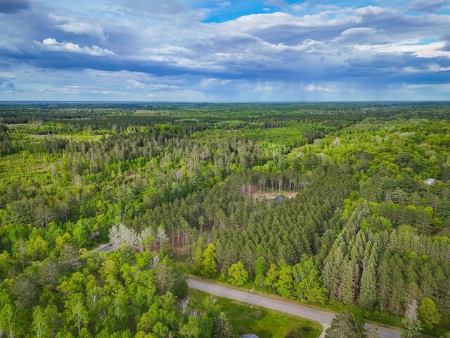 TBD White Birch Ave NE, Bemidji, MN 56601 - photo 8