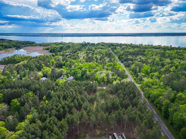 TBD White Birch Ave NE, Bemidji, MN 56601 - photo 1