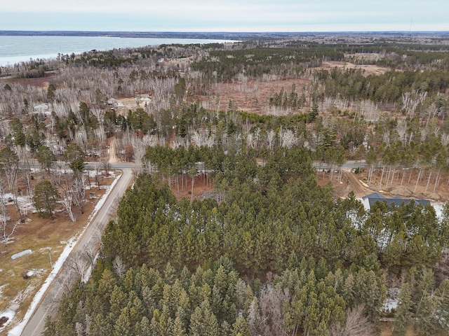 TBD White Birch Ave NE, Bemidji, MN 56601 - photo 30