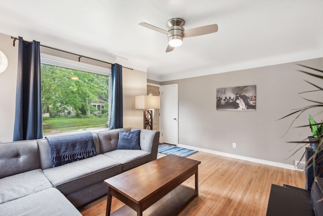 living room with light wood finished floors, ceiling fan, and baseboards