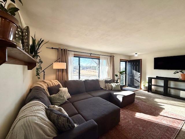 view of carpeted living area