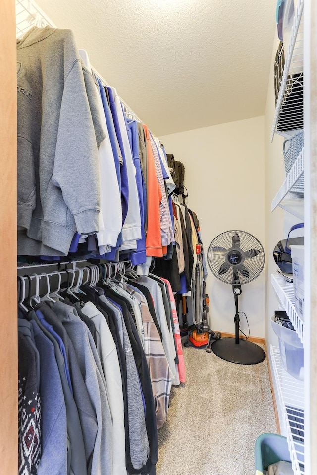 spacious closet featuring carpet