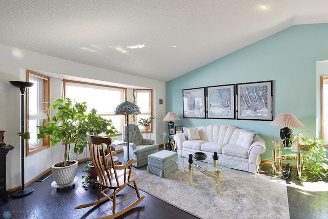 living area with baseboards, a textured ceiling, lofted ceiling, and dark wood-style flooring