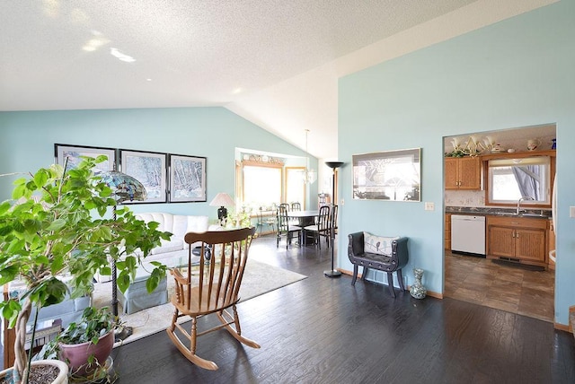 interior space with lofted ceiling, dark wood-style floors, baseboards, and a textured ceiling