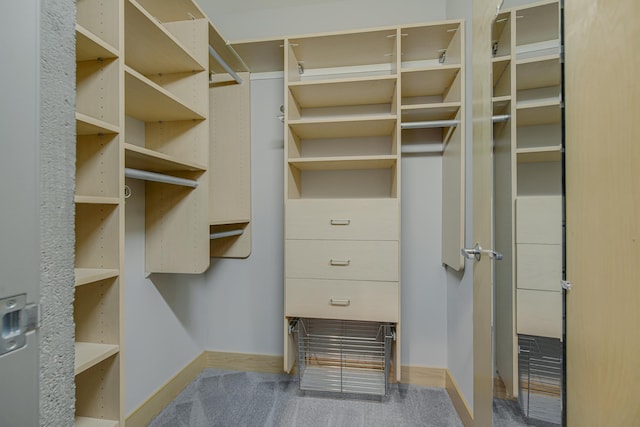 walk in closet featuring carpet floors