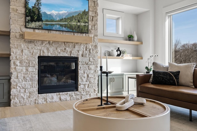 living room featuring wood finished floors and a fireplace