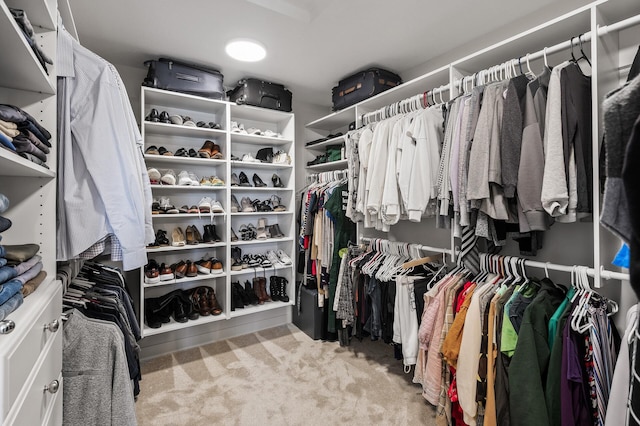 spacious closet featuring carpet