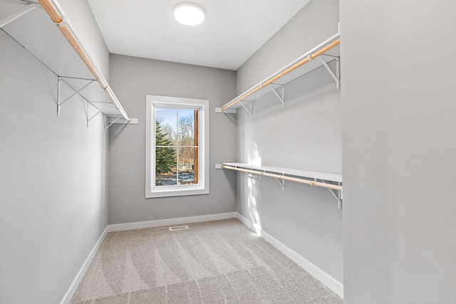 spacious closet with carpet flooring and visible vents