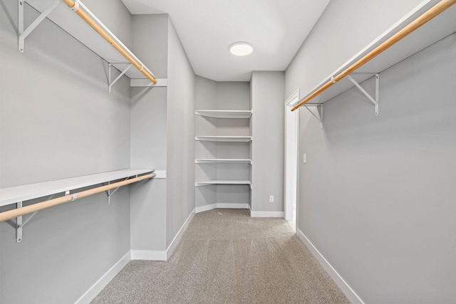 walk in closet with light carpet