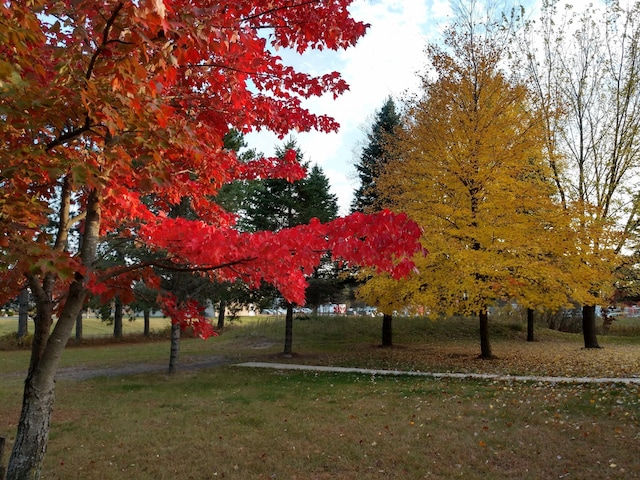 view of property's community with a lawn