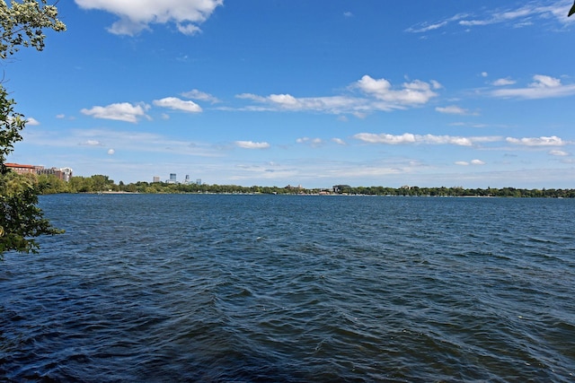 3200 Bde Maka Ska Pkwy Unit 302, Minneapolis, MN 55416 - water view