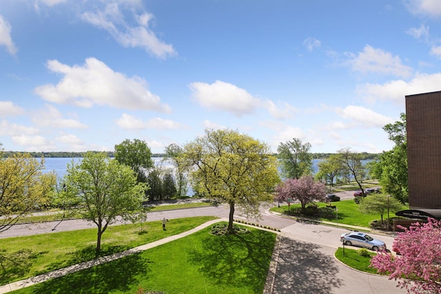 3200 Bde Maka Ska Pkwy Unit 302, Minneapolis, MN 55416 - surrounding community featuring a water view and a lawn