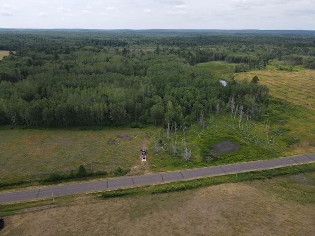 Listing photo 3 for W37XX Frog Creek Rd, Minong WI 54859