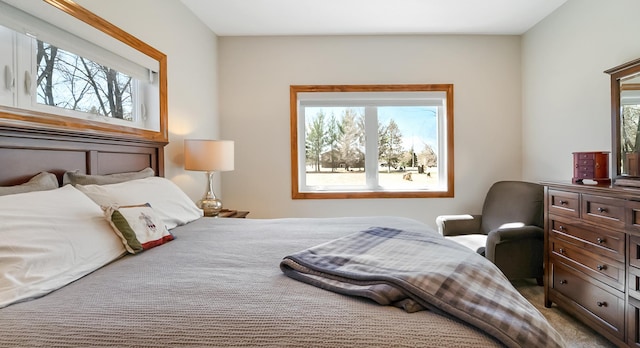 1001 Call Pl, Little Falls, MN 56345 - bedroom featuring multiple windows