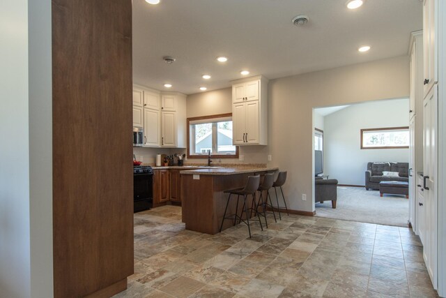 1001 Call Pl, Little Falls, MN 56345 - photo 18