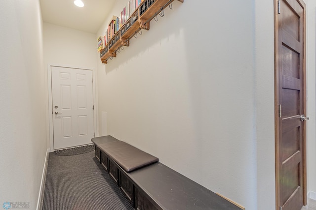 mudroom with carpet flooring