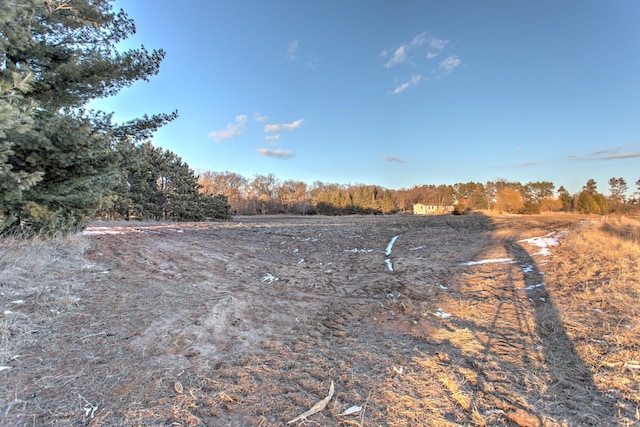 view of yard with a forest view