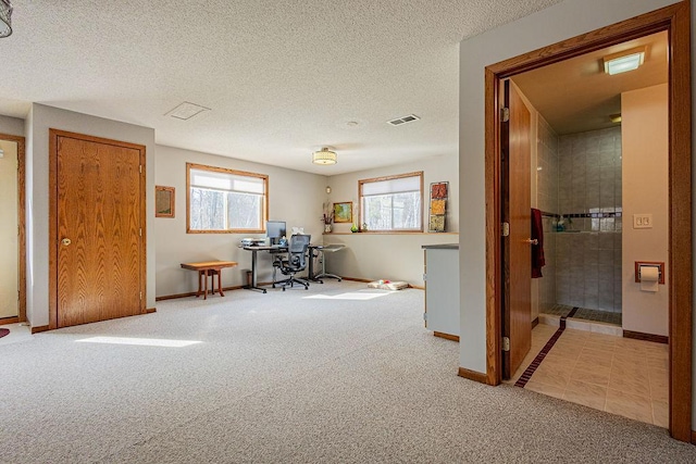 office featuring carpet flooring, plenty of natural light, and a textured ceiling