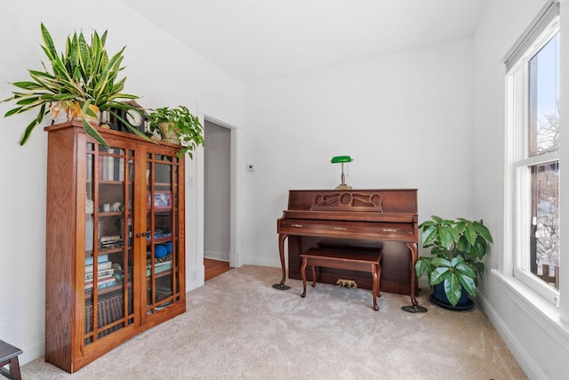 living area featuring baseboards, plenty of natural light, and carpet