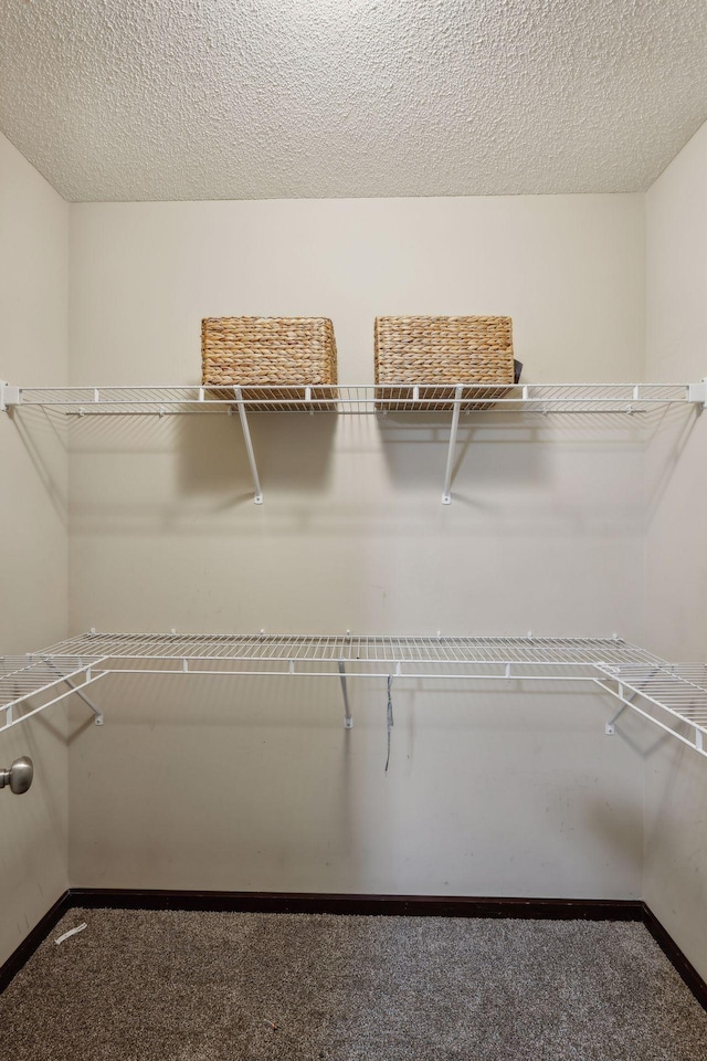 walk in closet featuring carpet flooring