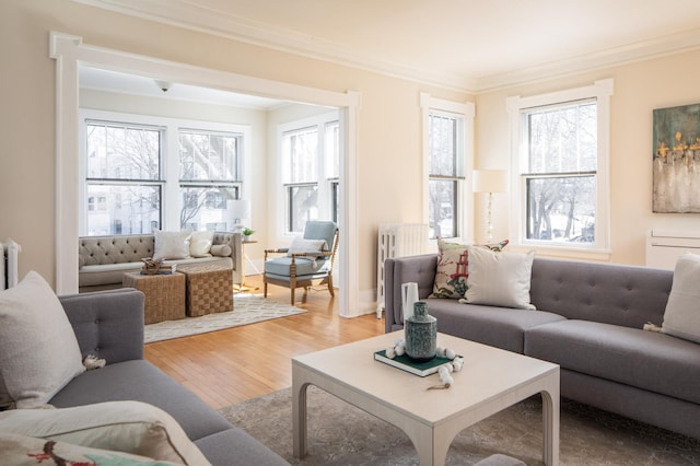 living area featuring crown molding and light wood finished floors