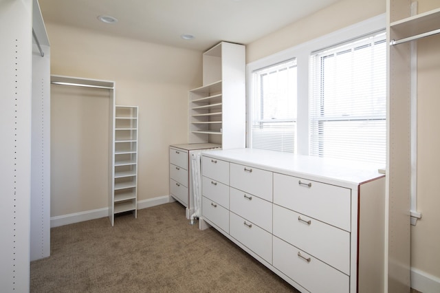 walk in closet featuring light colored carpet