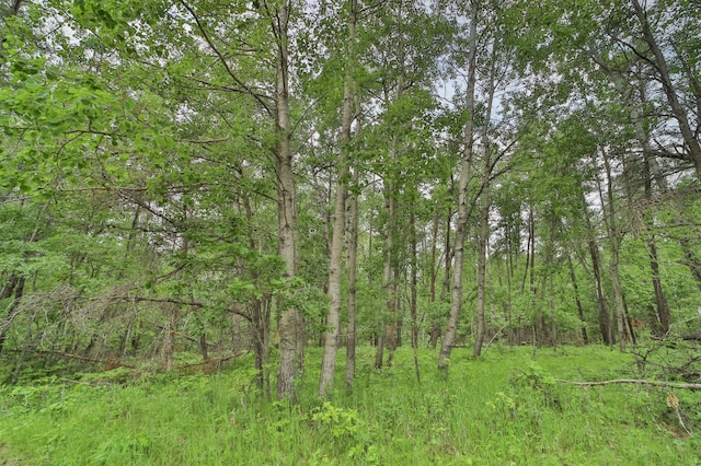 Listing photo 3 for LOT15 Cedar St, Breezy Point MN 56472