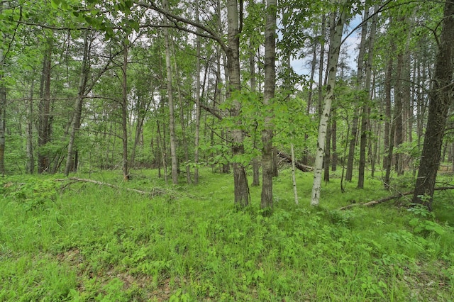 Listing photo 2 for LOT15 Cedar St, Breezy Point MN 56472