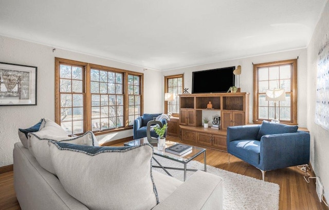 living room with wood finished floors, baseboards, a textured wall, and ornamental molding