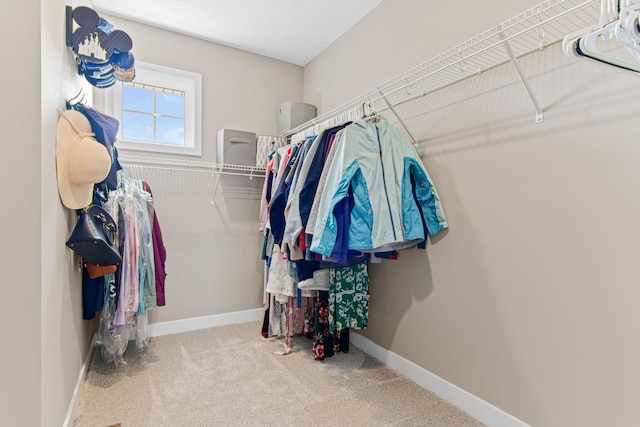 spacious closet featuring carpet floors