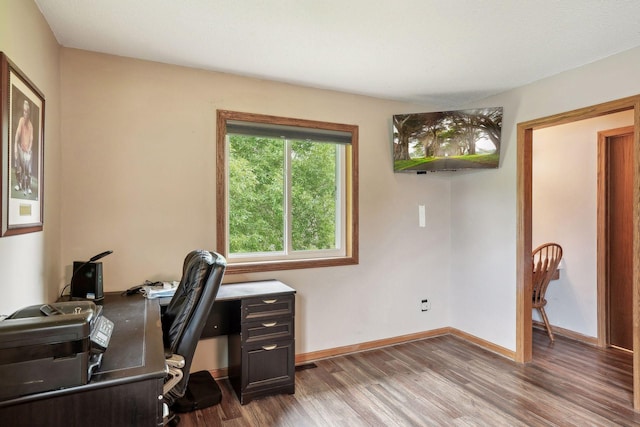 office with baseboards and wood finished floors