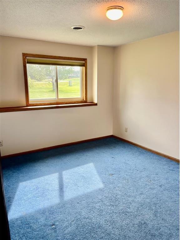 spare room featuring visible vents, carpet floors, a textured ceiling, and baseboards