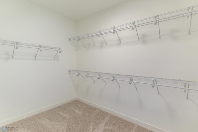 8319 59th St S, Horace, ND 58047 - walk in closet featuring light carpet