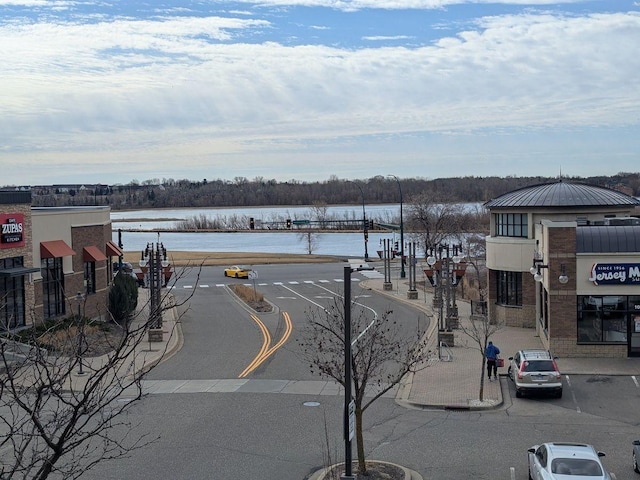 13580 Technology Dr Unit 3202, Eden Prairie, MN 55344 - water view