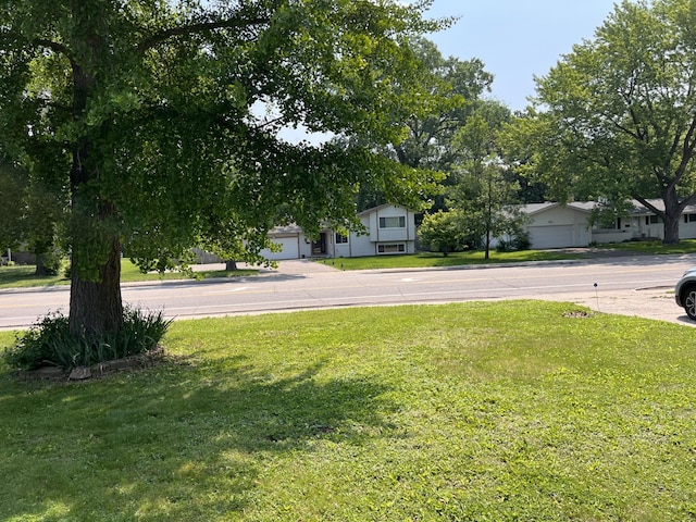 1711 Winnetka Ave N, Golden Valley, MN 55427 - view of green lawn