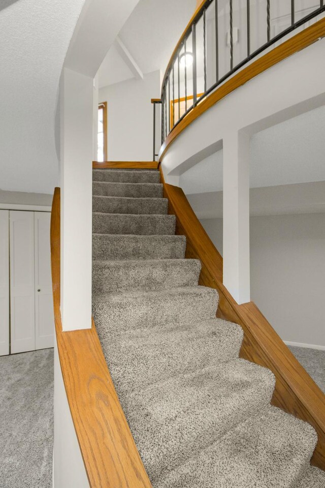 staircase featuring carpet floors