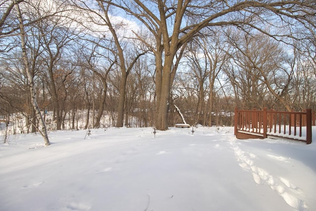 view of yard layered in snow