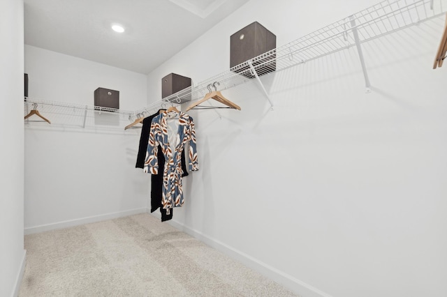 walk in closet featuring carpet floors