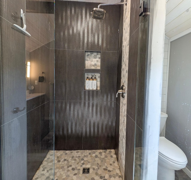 bathroom with a stall shower and toilet