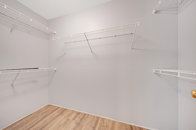 spacious closet featuring light wood finished floors