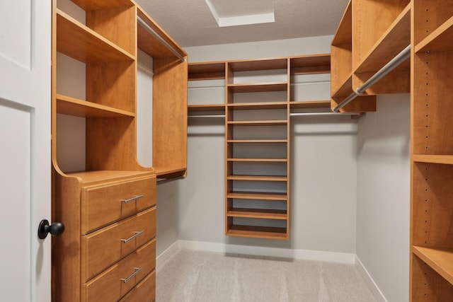 walk in closet featuring carpet flooring