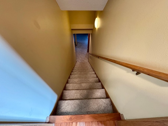 stairway with carpet flooring