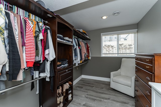 walk in closet featuring wood finished floors