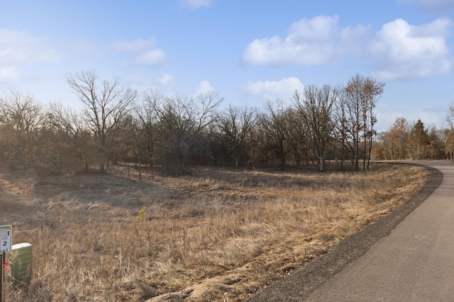 20469 Salem St NW, Elk River, MN 55330 - view of asphalt road
