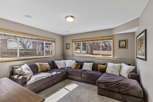 living room featuring a textured ceiling and carpet flooring