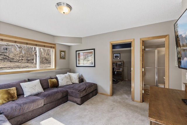 living room with light colored carpet and baseboards